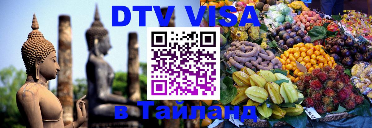 Оформление DTV визы под ключ: стоимость и тарифы, только загранпаспорт - Таллин 